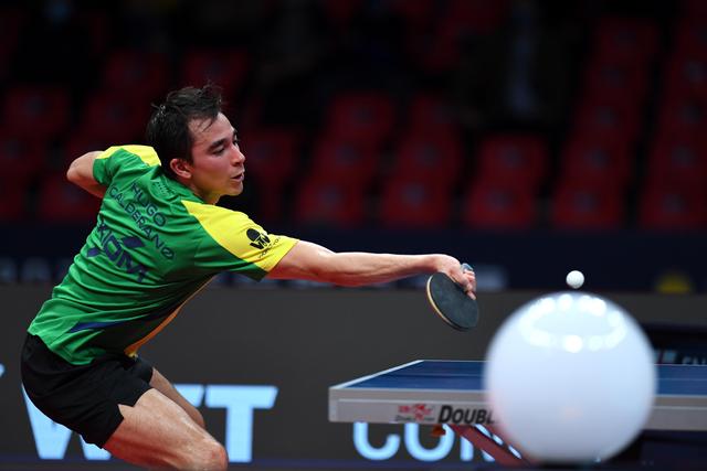 31个动物 31个动物