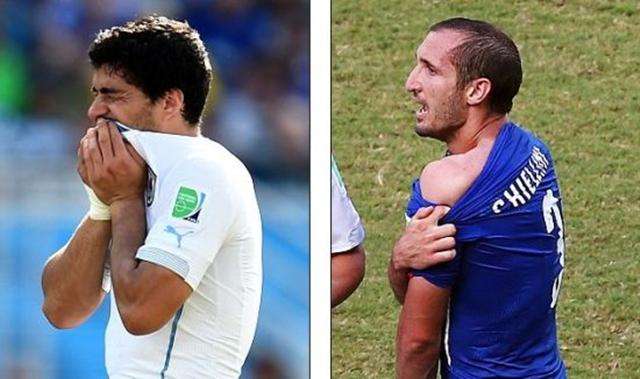 近年来推出 近年来推出