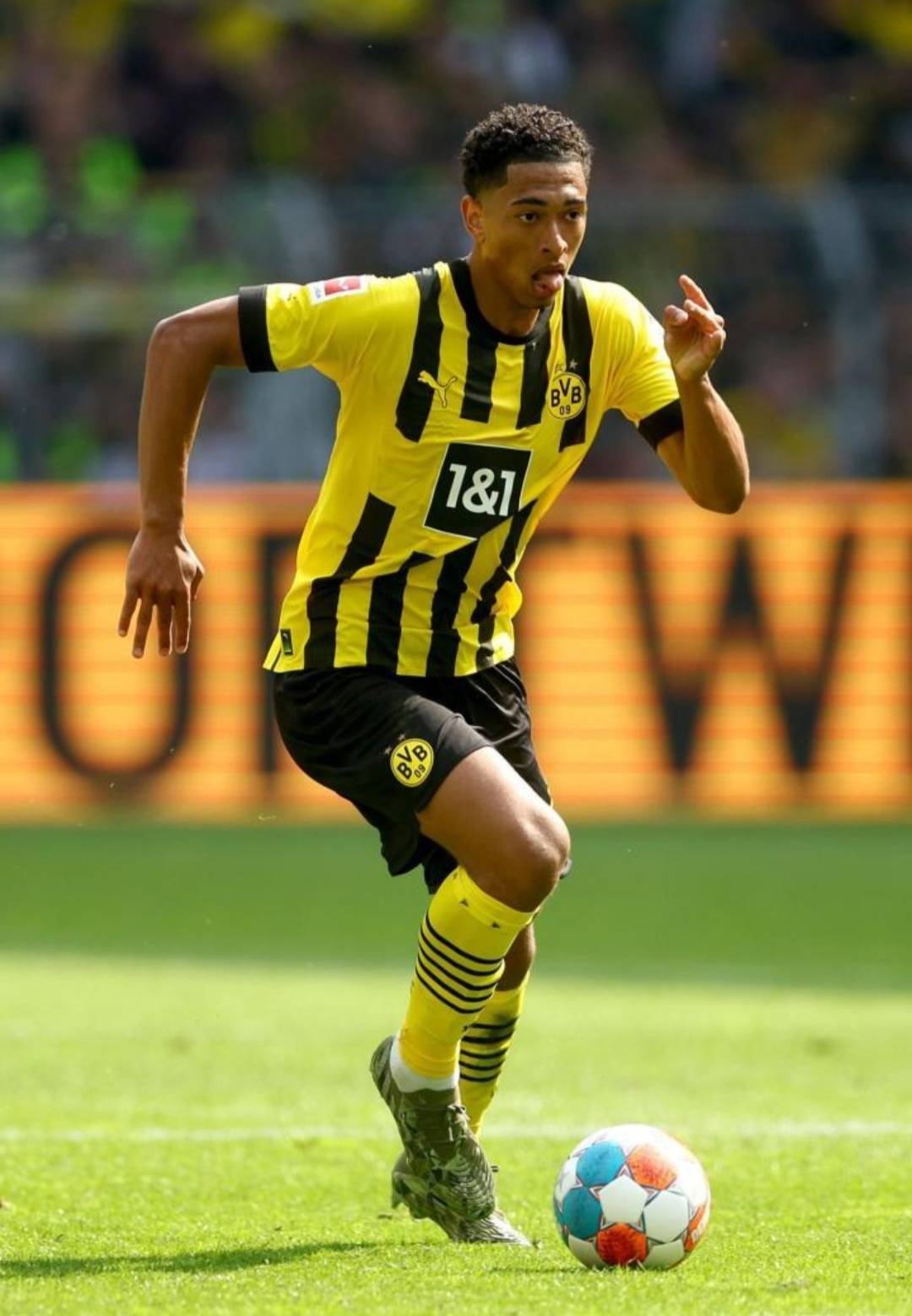 点建立一套 点建立一套